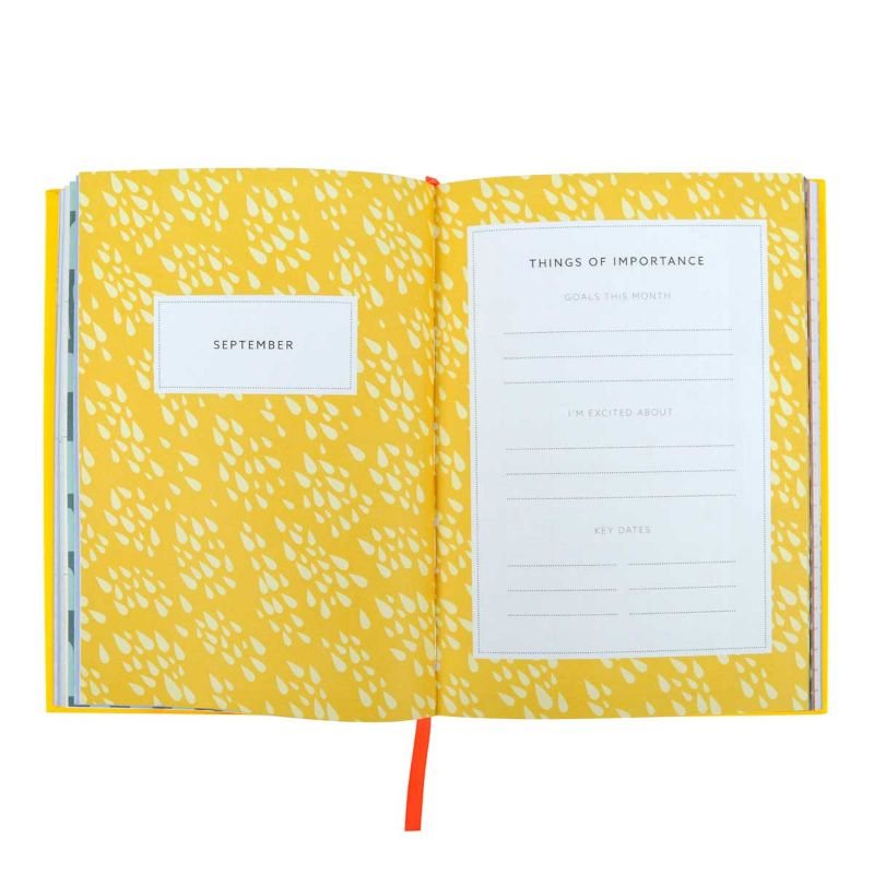 Neon Amber Desk Diary 2024 Waterstones