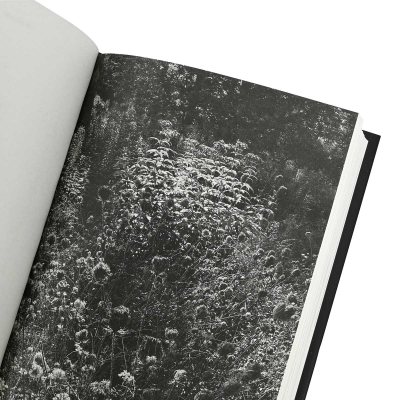 North Woods: Signed Edition (Hardback)