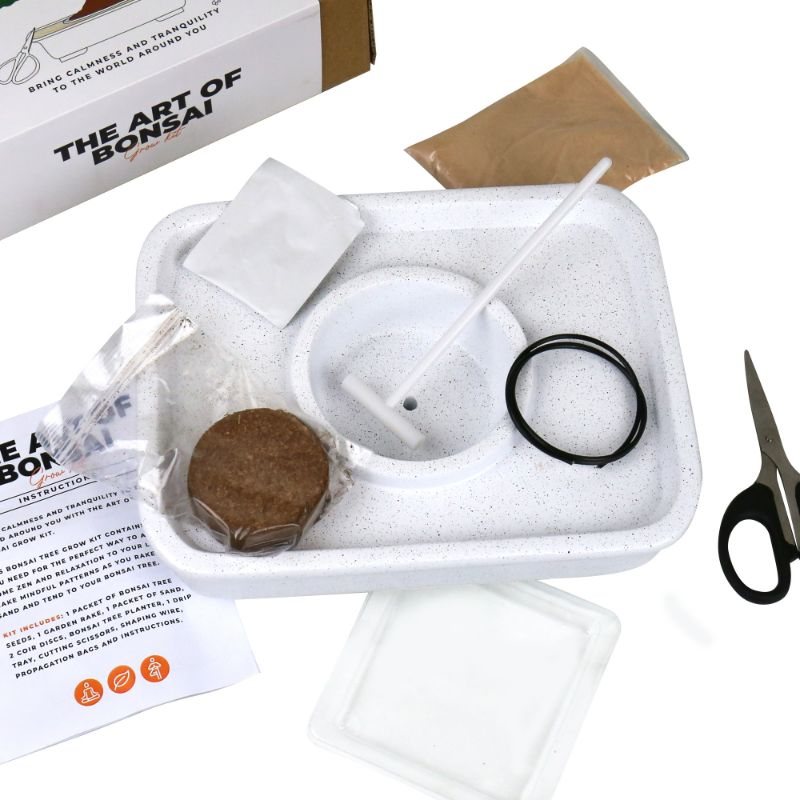 The Art Of Bonsai Grow Kit Waterstones