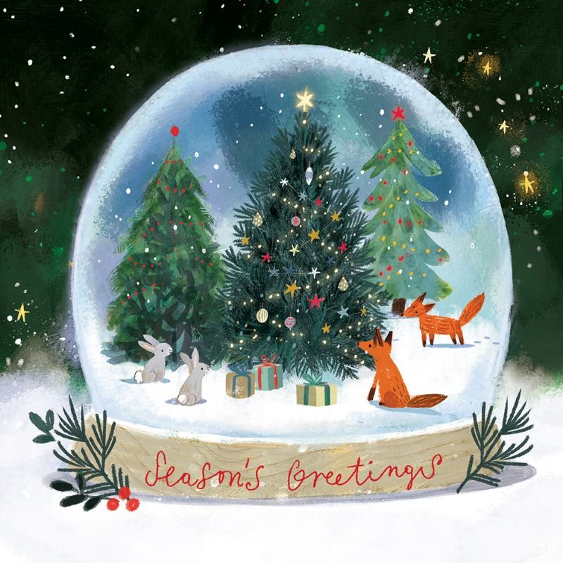 Snowglobes Charity Box X20 | Waterstones