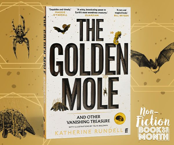 Introduction to The Golden Mole by Katherine Rundell