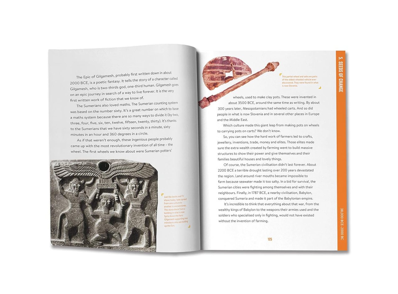 Absolutely Everything! Revised and Expanded by Christopher Lloyd, Andy Forshaw Waterstones