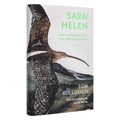 Sarn Helen: A Journey Through Wales, Past, Present and Future (Hardback)