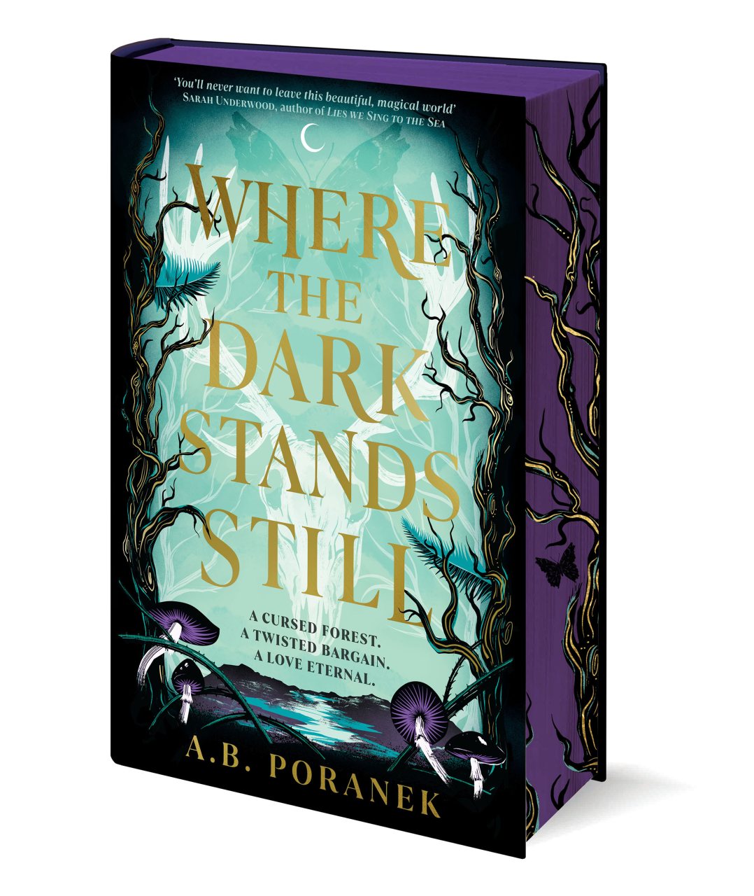 Where the Dark Stands Still by A.B. Poranek Waterstones