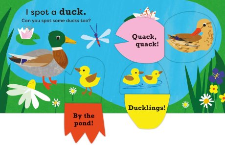 National Trust: My Very First Spotter's Guide: I Spot a Duck by Kay ...