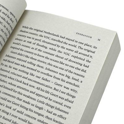 In Ascension (Paperback)
