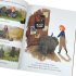 The Secret Elephant: The true story of an extraordinary wartime friendship (Paperback)