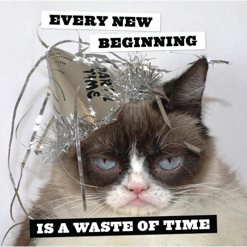 2025 Grumpy Cat Wall Calendar by Grumpy Cat Waterstones