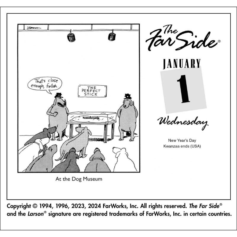 2025 Far Side Boxed Calendar by Gary Larson Waterstones