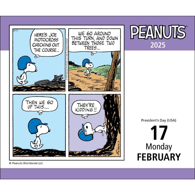 2025 Peanuts Boxed Calendar by Peanuts Worldwide LLC, Charles M. Schulz