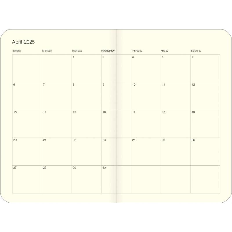 Aazon.co : Cavallini & Co. Ushroos 2025 Pocket Weekly Planner, 4\"x6...