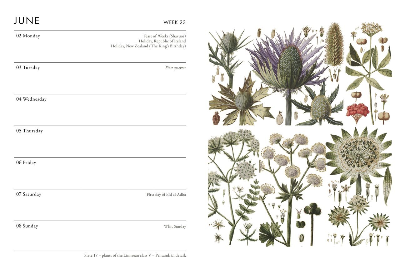 Rhs Floral Pocket Diary 2025 by The Royal Horticultural Society