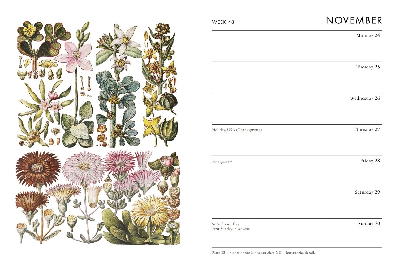 Rhs Floral Pocket Diary 2025 by The Royal Horticultural Society