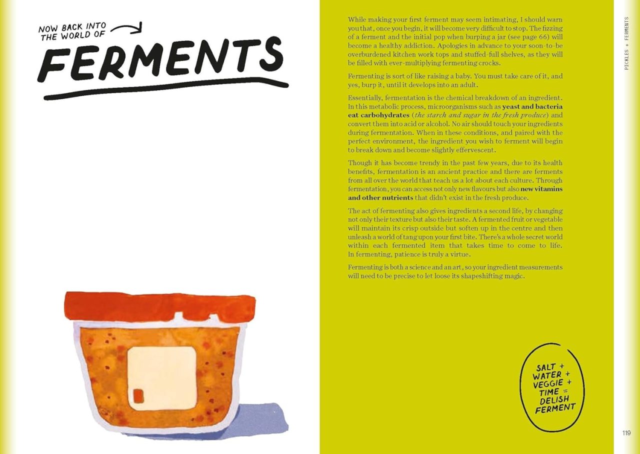 The Condiment Book by Claire Dinhut Waterstones