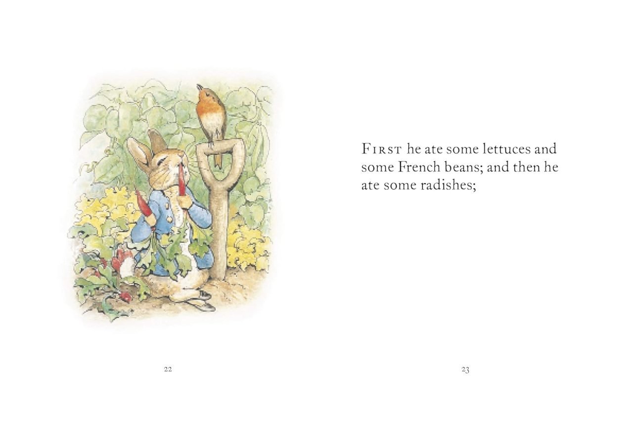 The Tale Of Peter Rabbit by Beatrix Potter | Waterstones