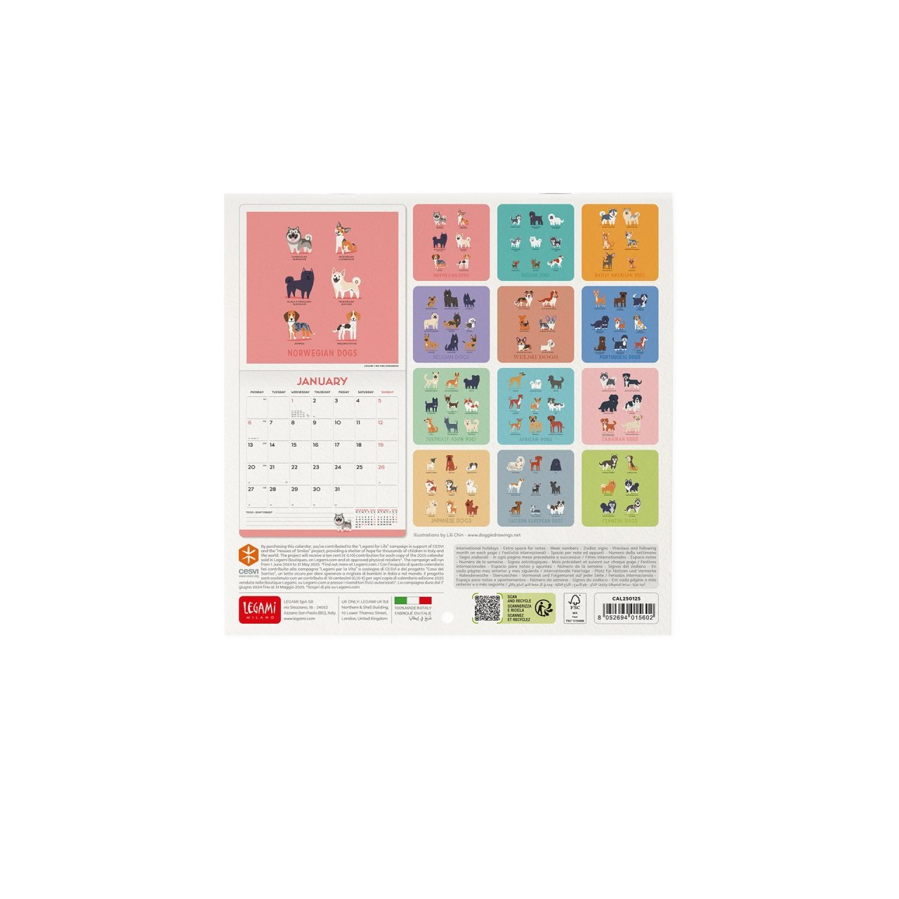 2025 Dogs Of The World Mini Wall Calendar Waterstones