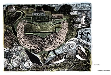 Still Waters & Wild Waves: Signed Edition (Hardback)