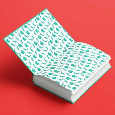 The Examiner (Hardback)