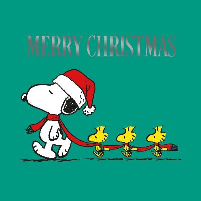 スヌーピー BOX トロフィー クリスマス スヌーピー BOX トロフィー