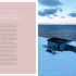 Life on Svalbard: Finding Home on a Remote Island Near the North Pole (Hardback)