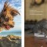 Comedy Pet Photography Awards - The paw-fect Christmas gift for animal lovers everywhere! (Hardback)