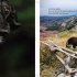 Comedy Pet Photography Awards - The paw-fect Christmas gift for animal lovers everywhere! (Hardback)