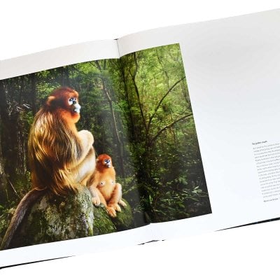 60 Years of Wildlife Photographer of the Year | Waterstones