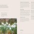 How to Design a Garden: Create and Maintain Your Dream Garden: A SUNDAY TIMES BESTSELLER (Hardback)