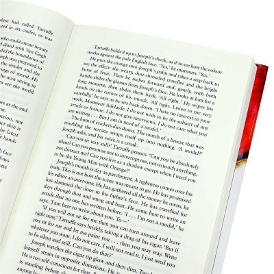 The Artist (Hardback)