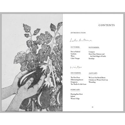 A Wilder Way: How Gardens Grow Us (Hardback)