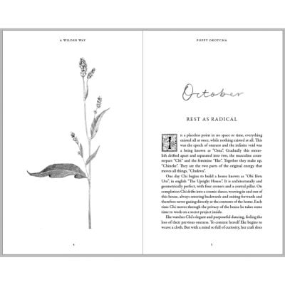 A Wilder Way: How Gardens Grow Us (Hardback)
