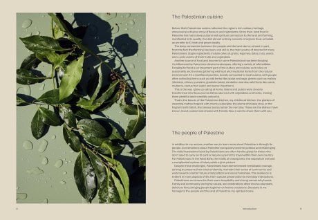 Boustany: A celebration of vegetables from my Palestine (Hardback)
