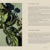 Boustany: A celebration of vegetables from my Palestine (Hardback)