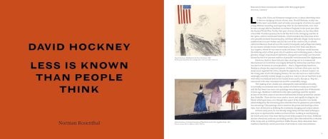 David Hockney (Hardback)