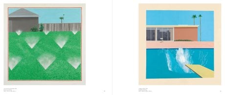 David Hockney (Hardback)