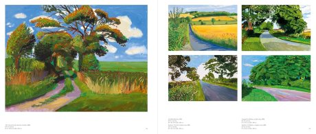 David Hockney (Hardback)