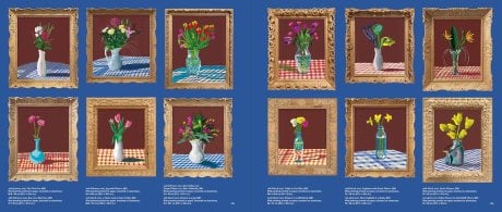 David Hockney (Hardback)