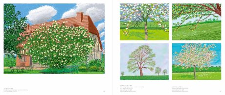 David Hockney (Hardback)