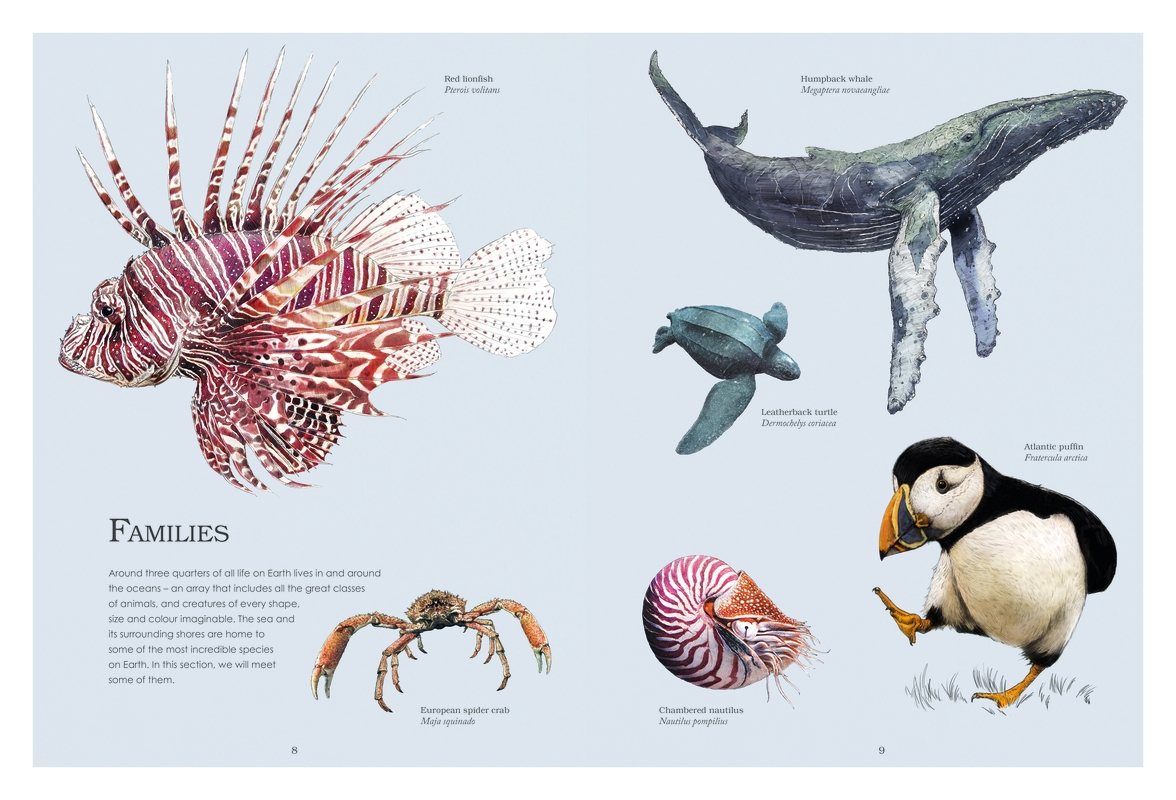 Water World by Ben Rothery | Waterstones