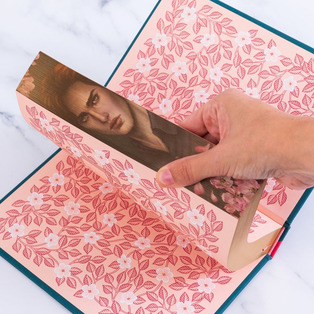 Twilight Deluxe Collector's Edition by Stephenie Meyer | Waterstones
