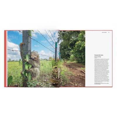 Wildlife Photographer of the Year: Portfolio 35 by Keith Wilson