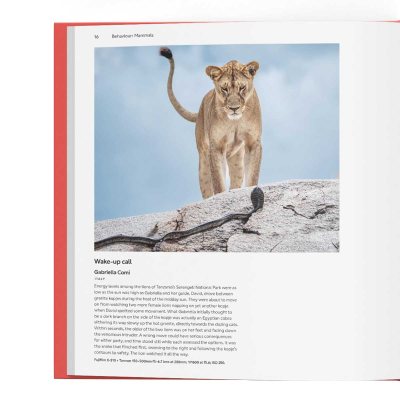 Wildlife Photographer of the Year: Portfolio 35 by Keith Wilson