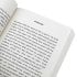 The Walking Cure: A healthier, happier life one step at a time (Paperback)