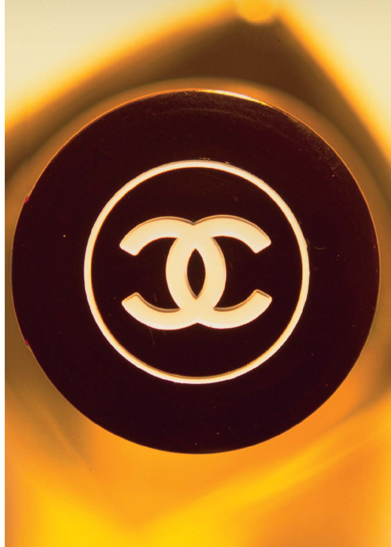 Coco Chanel: The Legend and the Life (Paperback)