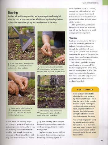 The Complete Vegetable Gardener: A Practical Guide to Growing Fresh and Delicious Vegetables (Paperback)