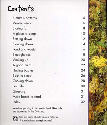 Hibernation - Young Explorer: Nature's Patterns (Paperback)