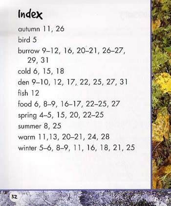 Hibernation - Young Explorer: Nature's Patterns (Paperback)