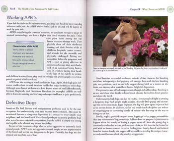 American Pit Bull Terrier - Happy Healthy Pet (Hardback)