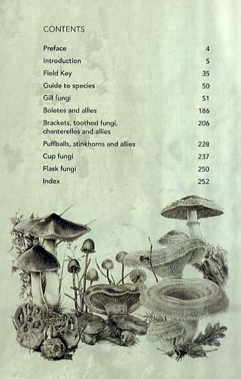 Guide to Mushrooms and Toadstools of Britain and Europe (Paperback)