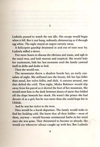 Ludmila'S Broken English (Hardback)
